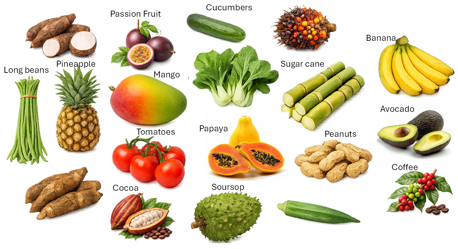 food basket of suriname